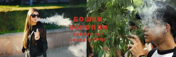 сатива Абдулино