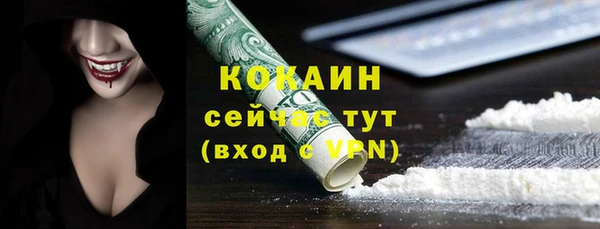 тгк Абаза