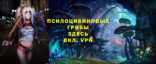 тгк Абаза