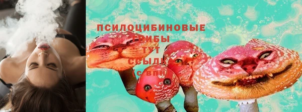 тгк Абаза