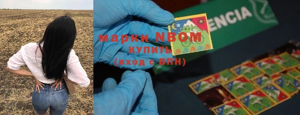 сатива Абдулино