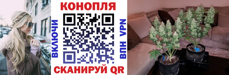 наркота  Рыльск  Каннабис Amnesia 